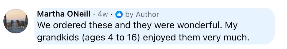 Customer review about grandchildren enjoying a wooden bird painting craft night