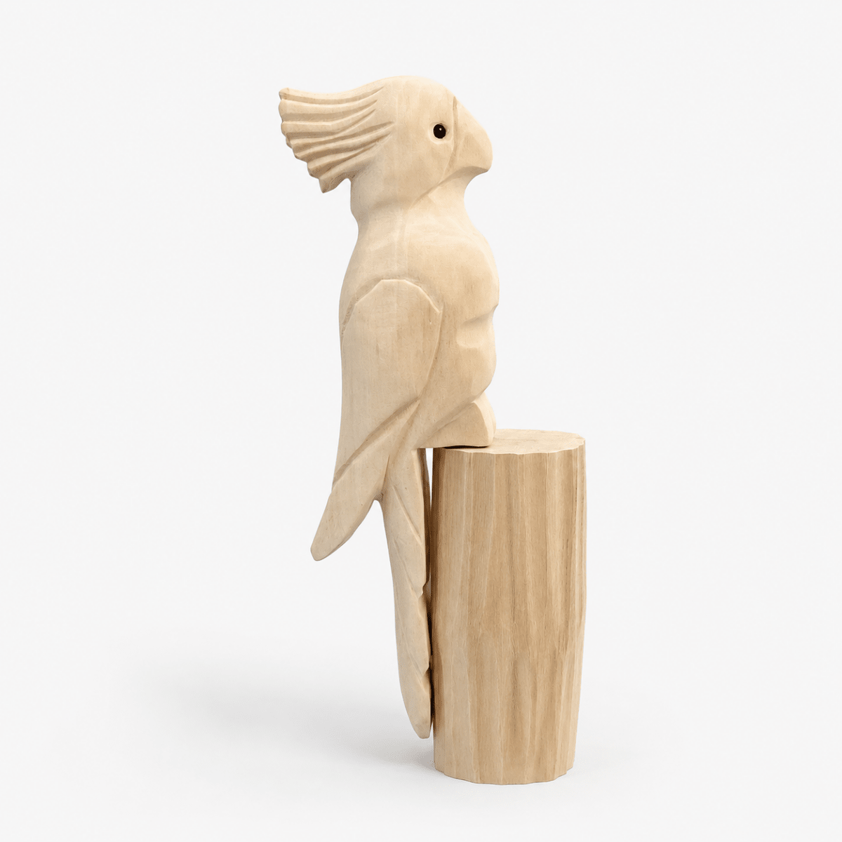 Wooden Cockatoos & Marker Craft Kit 🦜 - FunAcrylic