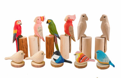 Wooden Parrot & Marker Craft Kit 🦜 - FunAcrylic